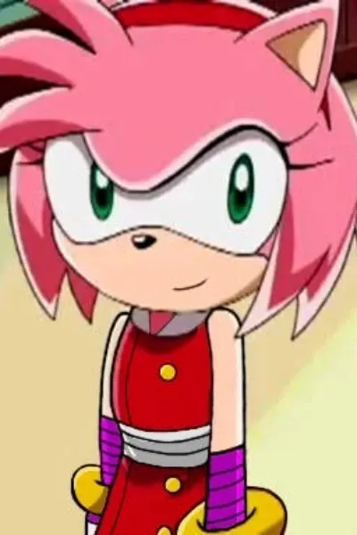 Amy Rose photo