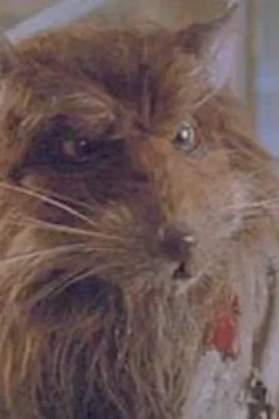 Master Splinter (TMNT)