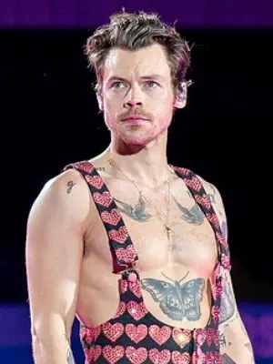 Harry Styles photo