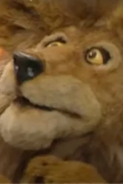 Chuck the Lion photo