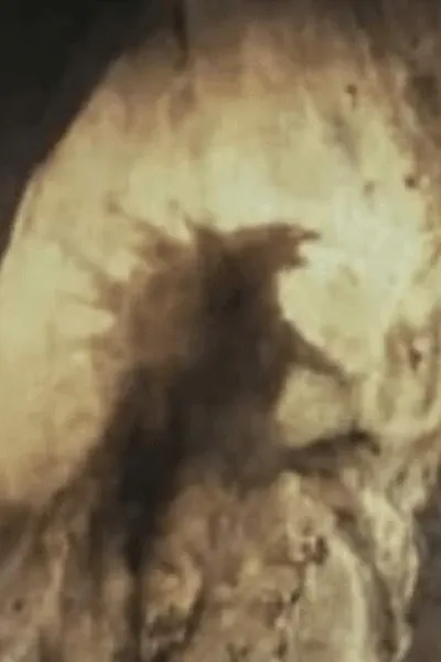 Godzilla (Monsterverse) photo