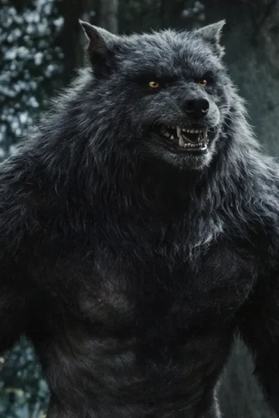 Werewolf Emmet (Reboot) photo