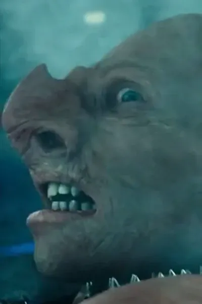Stephen Farrelly photo