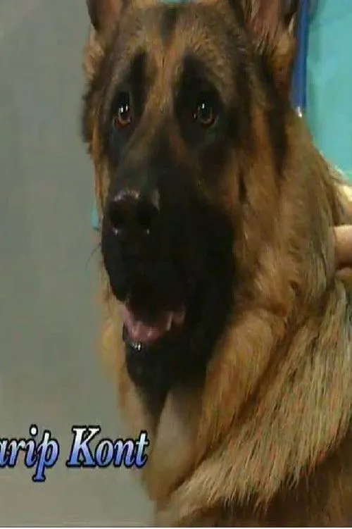Smile Dog