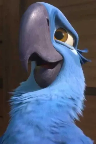 Blu (Rio) photo