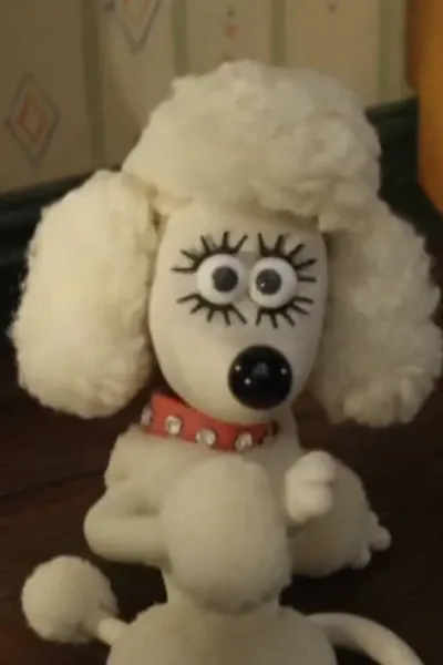 Fluffles photo
