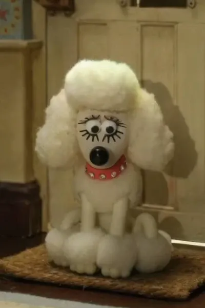 Fluffles photo