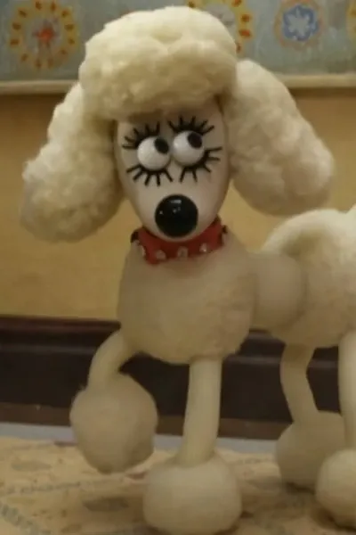 Fluffles photo