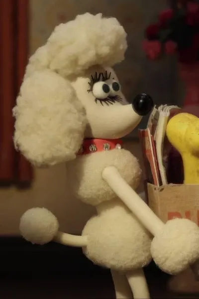 Fluffles photo