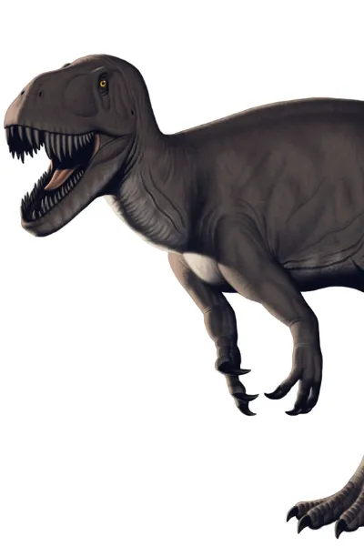 Torvosaurus photo