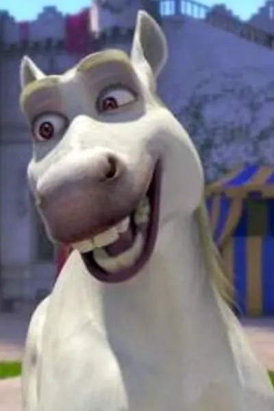 Stallion Donkey photo