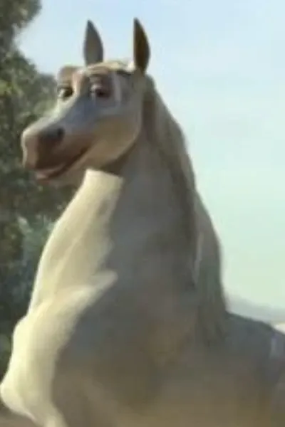 Stallion Donkey