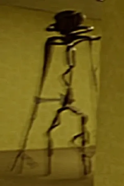 Robert Bobroczkyi photo