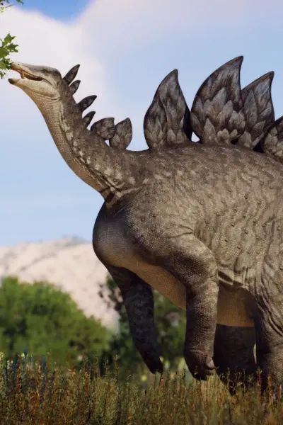 Stegosaurus photo