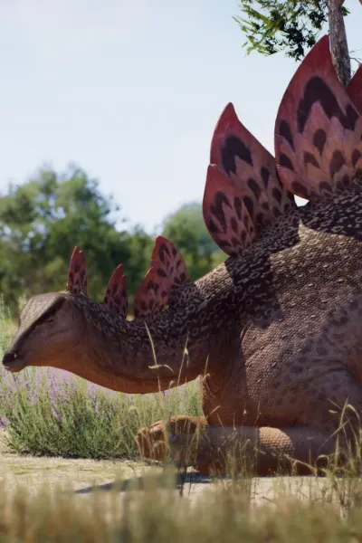 Stegosaurus photo