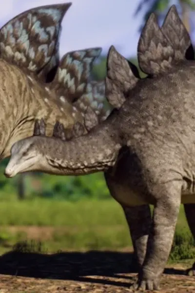 Stegosaurus photo