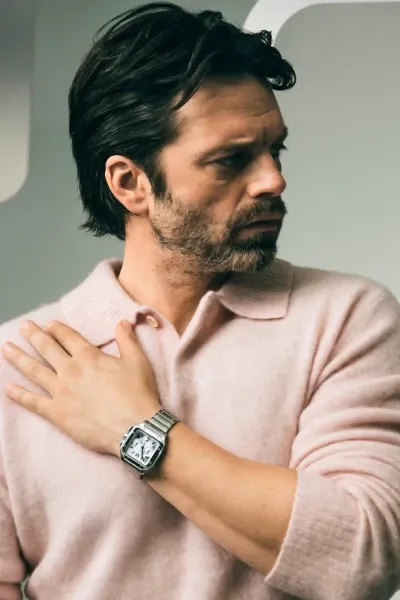 Sebastian Stan photo