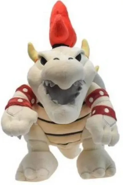 Dry Bowser photo