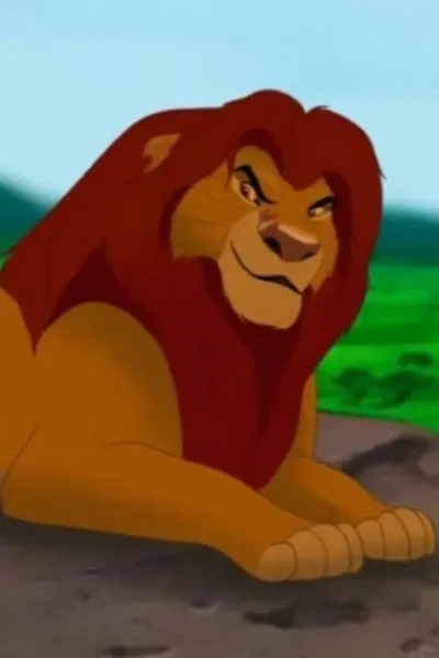 Malumfasa photo