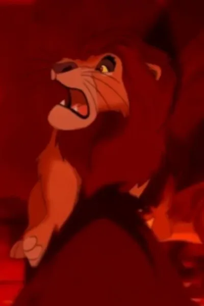 Malumfasa photo