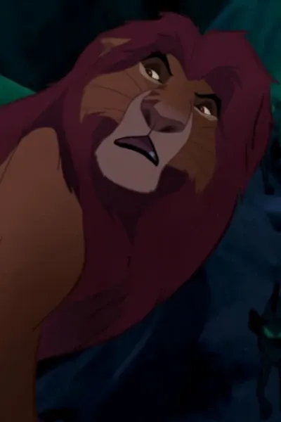 Malumfasa photo
