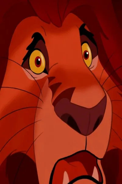 Malumfasa photo