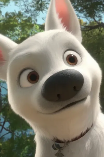 Bolt