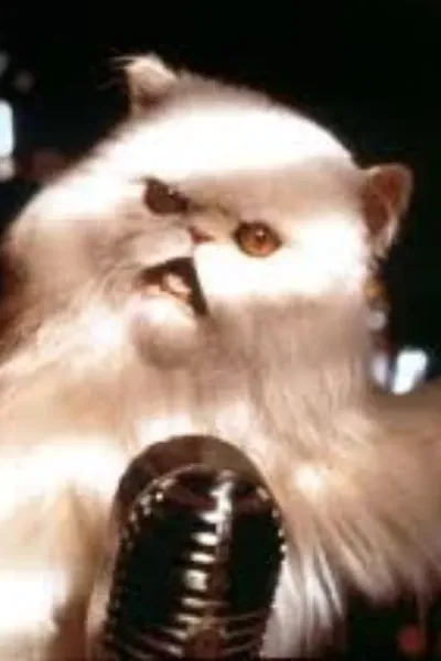 Mr. Tinkles
