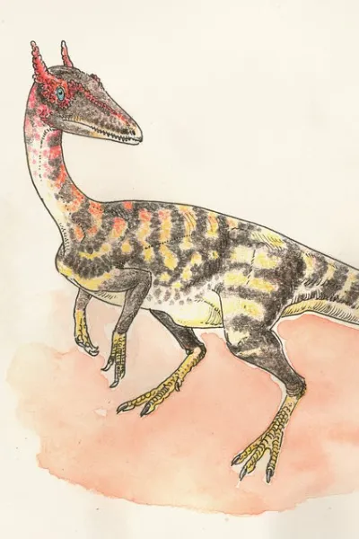 Segisaurus photo
