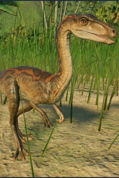 Segisaurus photo