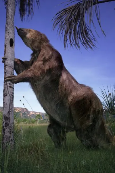 Megatherium photo