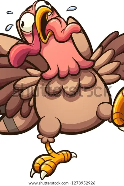 Wild Turkey photo