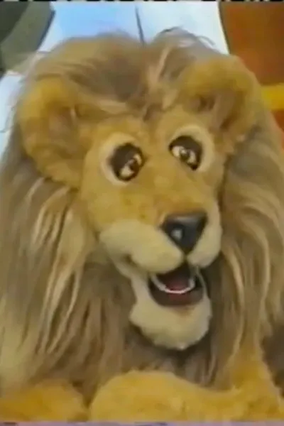 Malcolm The Lion 