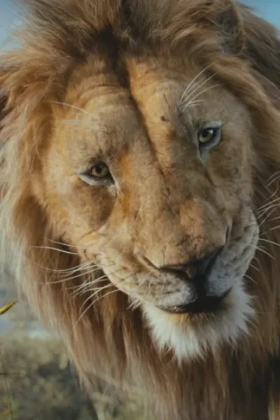 Masego (Mufasa The Lion King) photo