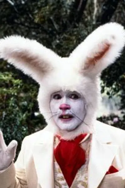 White Rabbit photo