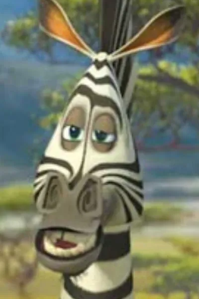 🦓Marty (Madagascar)🦓