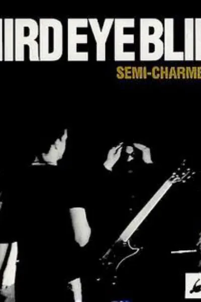 Semi-Charmed Life (I Want Something Else) photo