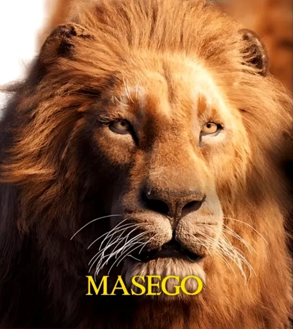 Masego (Disney) photo