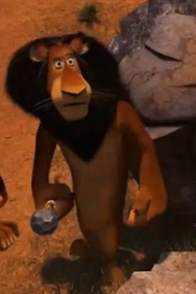 Zuba (Madagascar Escape 2 Africa) photo