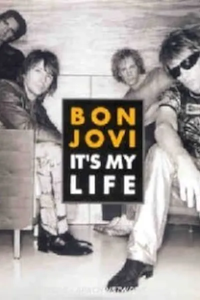 It’s My Life (Bon Jovi song) photo