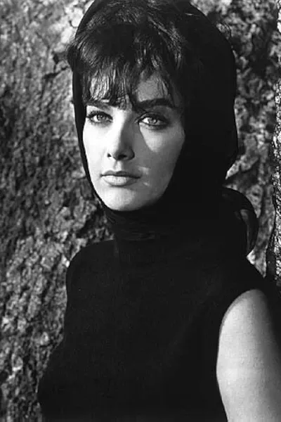 Suzanne Pleshette photo