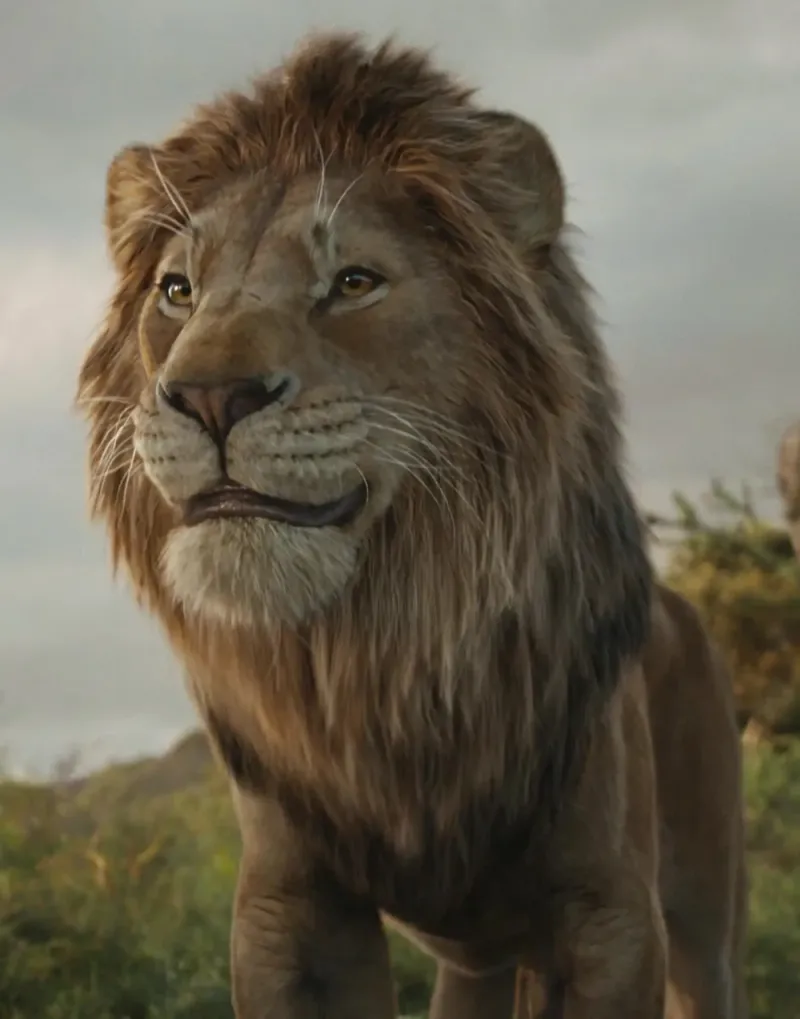 Lion photo