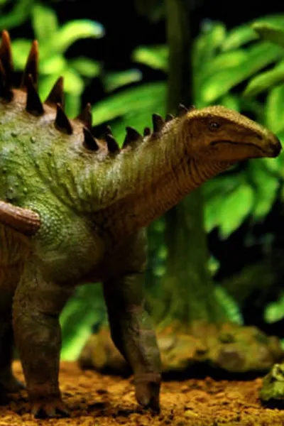 Dacentrurus photo