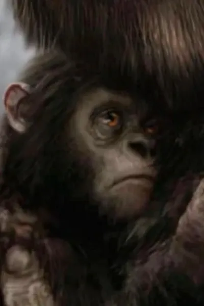 Kiko (Son of Kong) photo