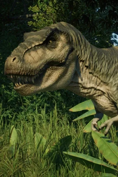 Junior the Tyrannosaurus rex photo