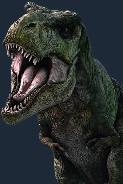 Junior the Tyrannosaurus rex photo