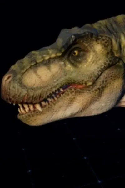 Junior the Tyrannosaurus rex photo