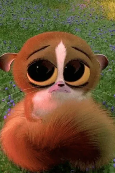 Mort the Mouse Lemur