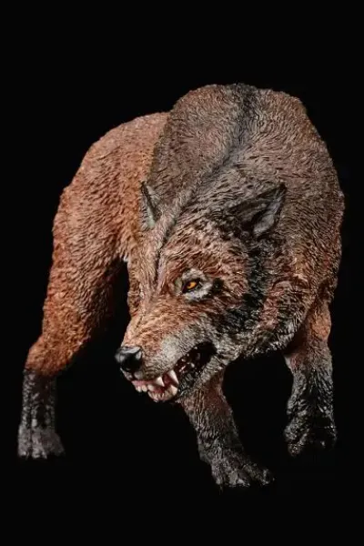 Dire Wolf photo