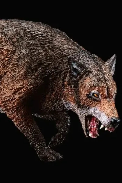 Dire Wolf photo